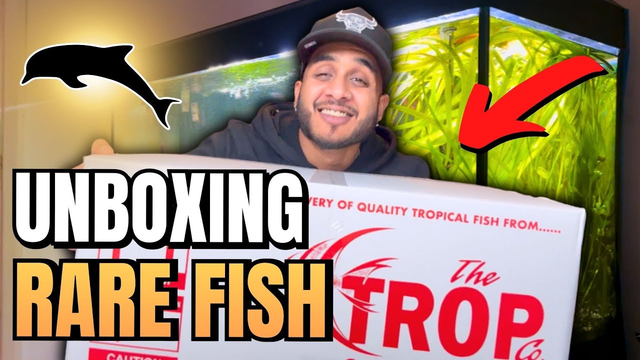 Unboxing Rare Fish From Tropco!