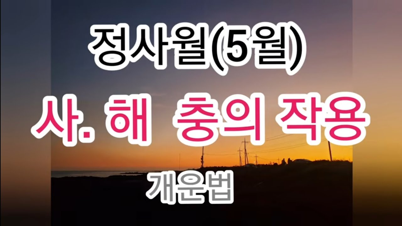정사월의 사해충