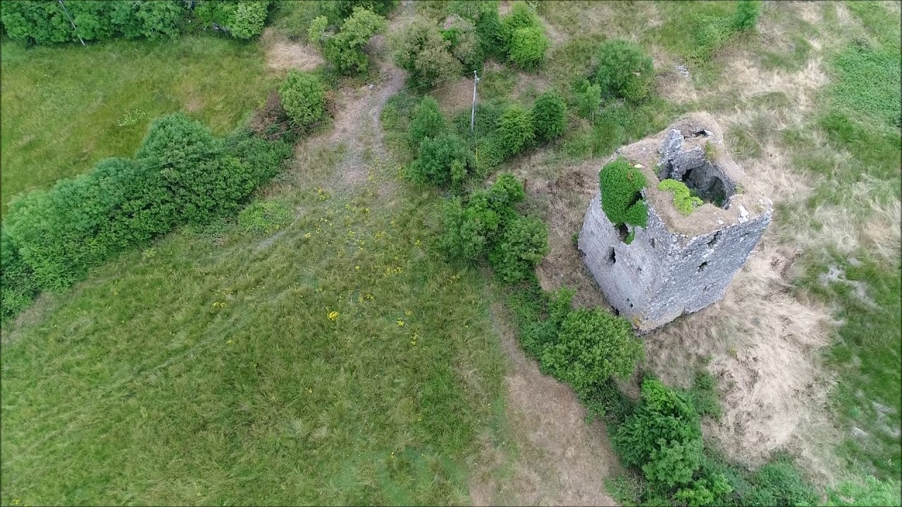 Farrell's Castle, Castlrea, Moydow, Co. Longford