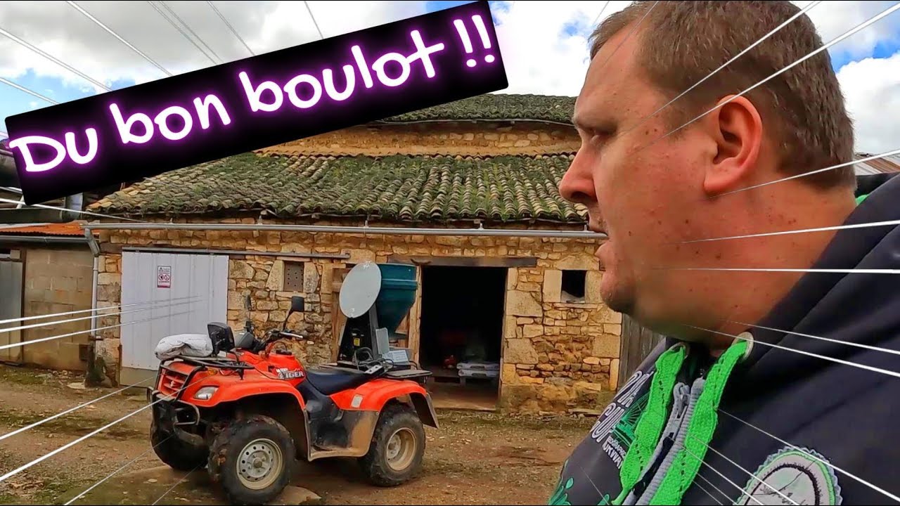 Anti limaces bio dans les pois - 2024