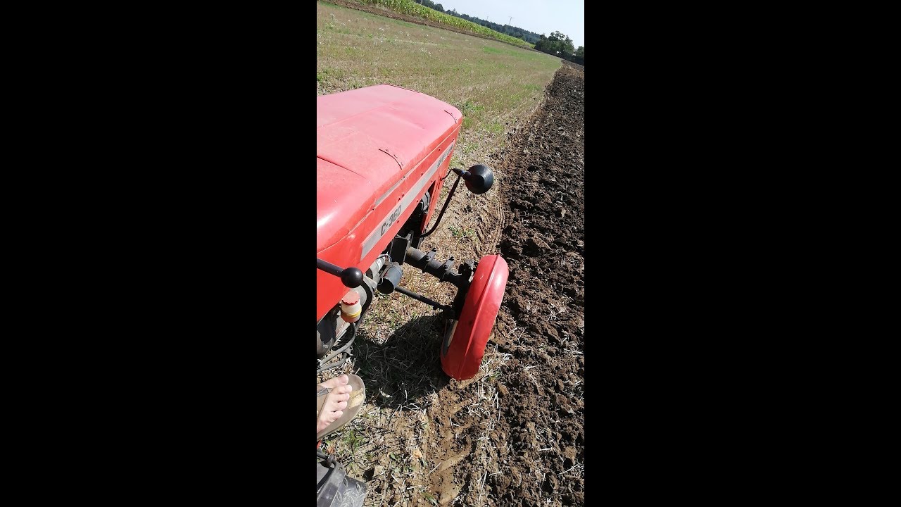Dziki w akcji!!! Czyli 2x Ursus c-360  Jesień 2019