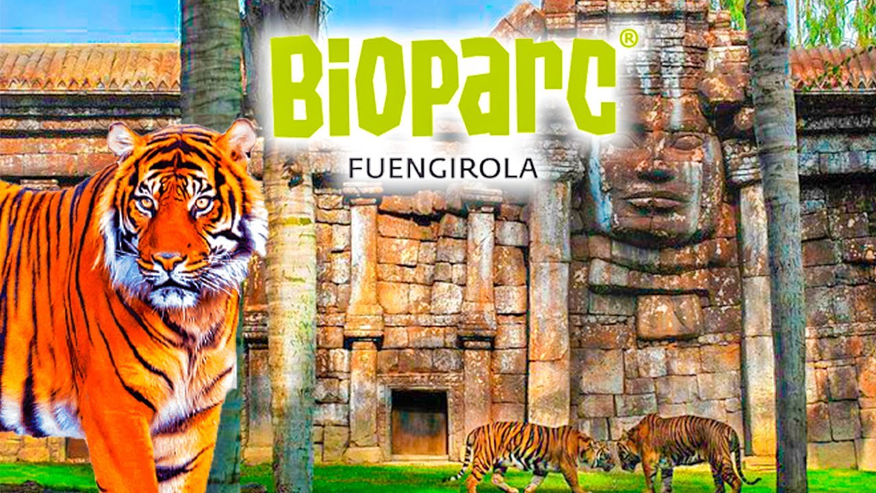 ¡Así es BIOPARC FUENGIROLA 2021! I Un zoo diferente a lo habitual