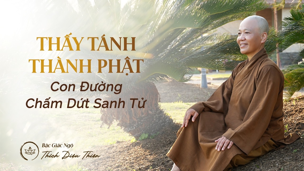 Thấy Tánh Thành Phật - Con Đường Chấm Dứt Sanh Tử | Bậc Giác Ngộ Thích Diệu Thiện | Ngày 08.03.26