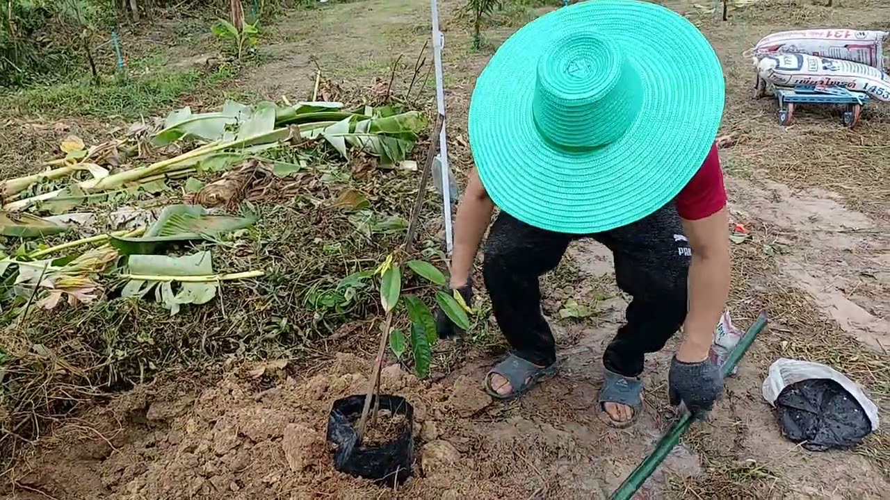 10 กุมภาพันธ์ ค.ศ. 2026