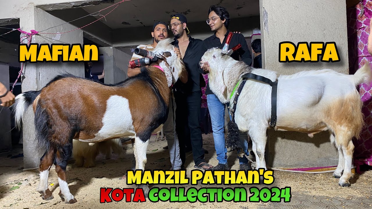 Exclusive interview with MANZIL PATHAN| MAFIAN and RAFA (182)Kg Kota collection 2024