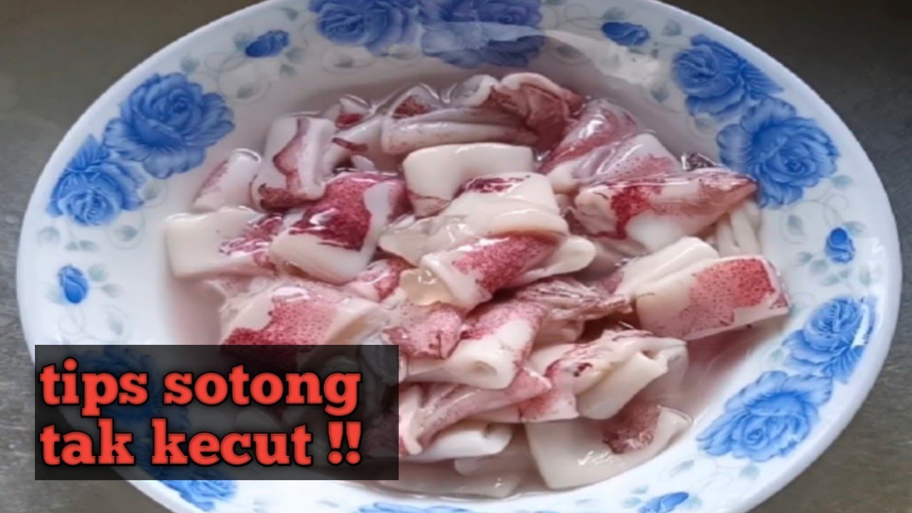 petua sotong tak kecut bila dimasak | mudah dan simple