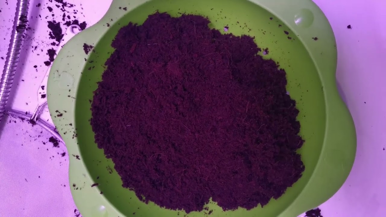 Coco coir Substrat selbst herstellen von A bis Z, vom Waschen bis puffern und mixen mit Perlite
