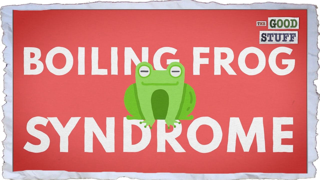 Will A Frog Really Stay In Boiling Water?