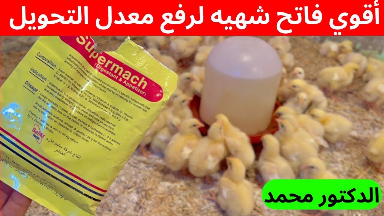 معلقتين كل يومين علي العلف هيخلو الفراخ ٣ كيلو في شهر مع الدكتور