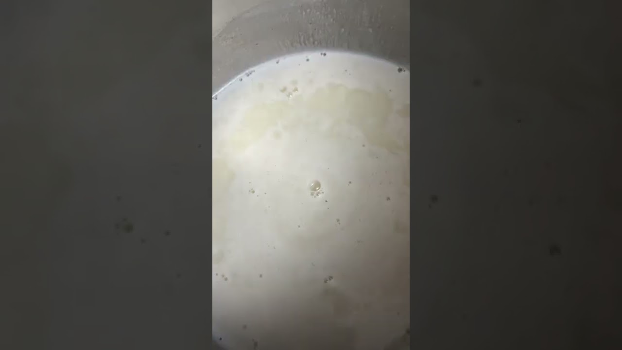 🥥COCADAS de leche con la abuela 👵🥥 f&aacute;cil / r&aacute;pido y delicioso ✨😱