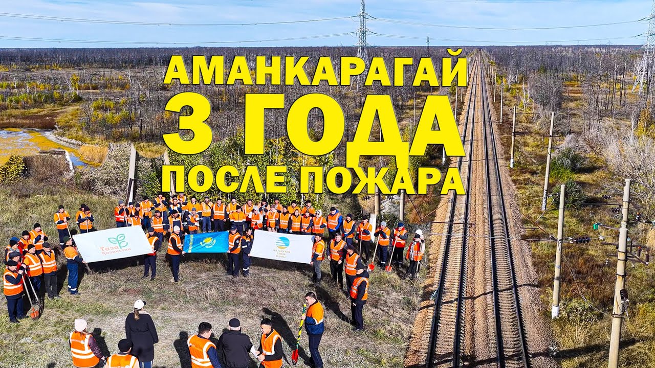 988: Аманкарагай! 3 года после пожара! Как наши железнодорожники высаживали саженцы! Может не там ?