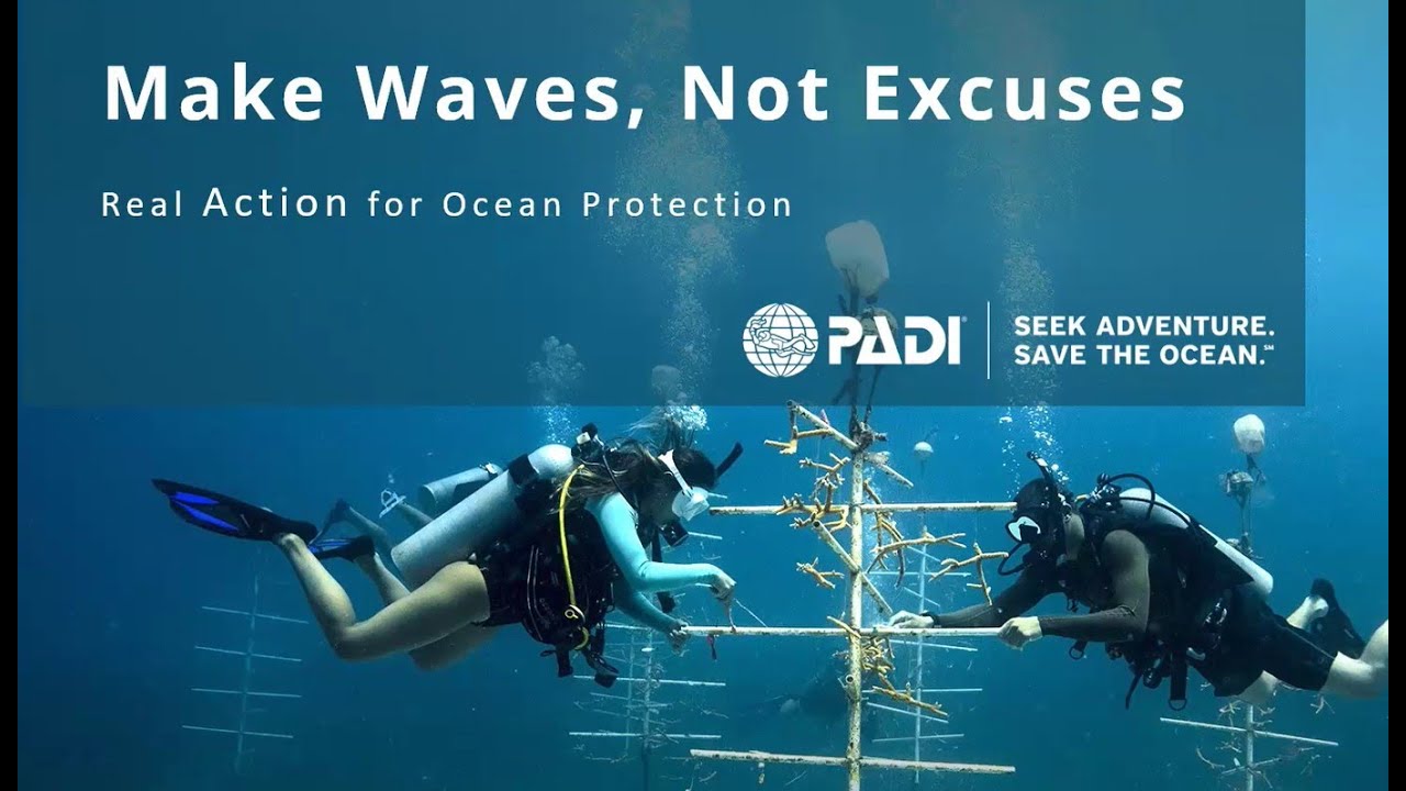 Dive Into Action: Ocean Conservation with PADI AWARE | Blue Force™ & Coastal Cleanup Day 2025