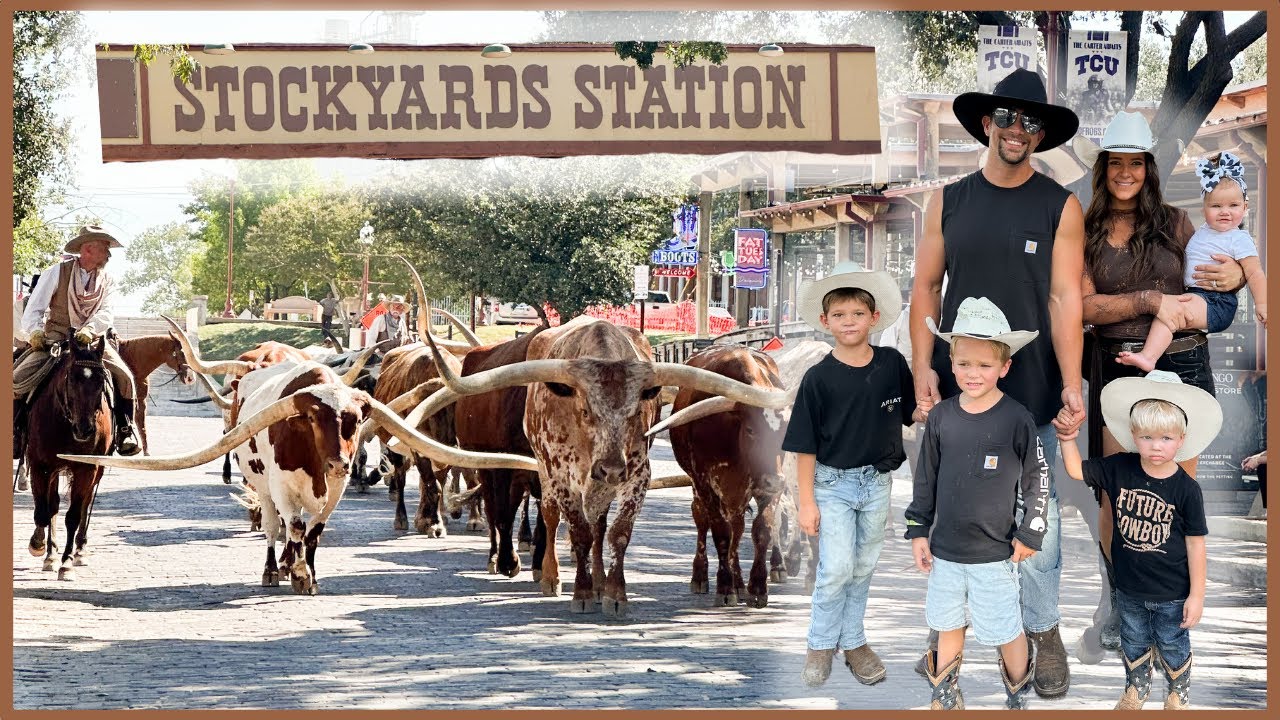 Little Cowboys at Texas Cattle Drive! FORT WORTH, STOCKYARDS/RODEO/CHAMPIONSHIP/TOYS/LONGHORN/BULLS