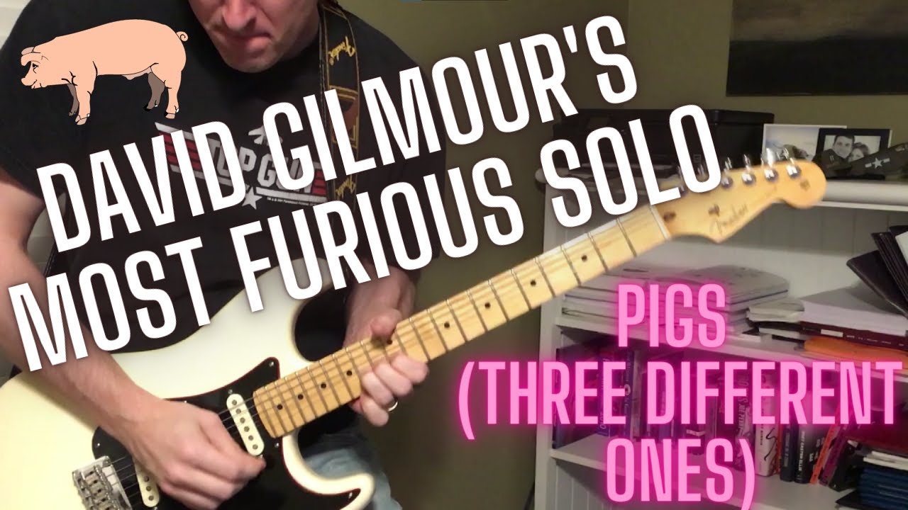 Pink Floyd - Pigs guitar solo cover  (Three Different Ones)