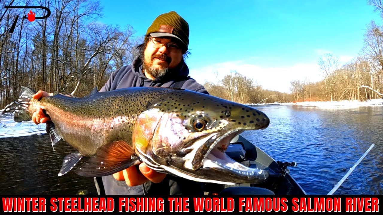 Winter Steelhead Fishing on the World Famous Salmon River