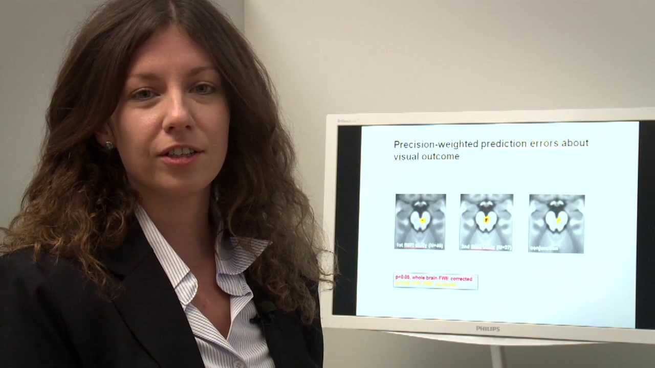 Hierarchical Prediction Errors in Sensory Learning