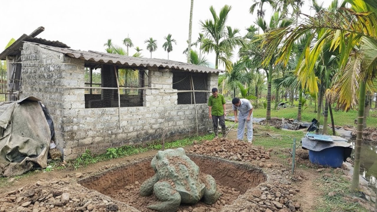 Lợn Gà Toi Hết Vì Ông Lão 70 Tuổi Này Trót Phạm Phải Cổ Vật Linh Thiêng Khi Xây Công Trình Phụ