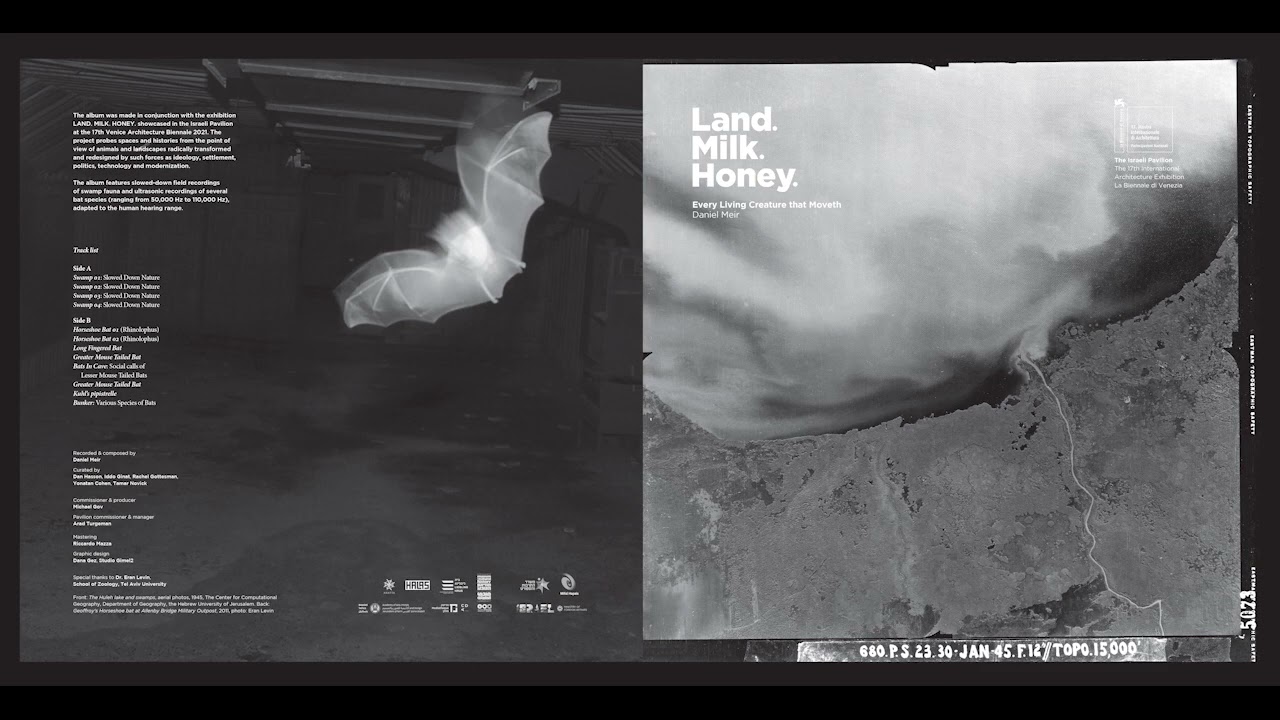 11 Daniel Meir   Every Living Creature that Moveth Kuhl’s pipistrelle