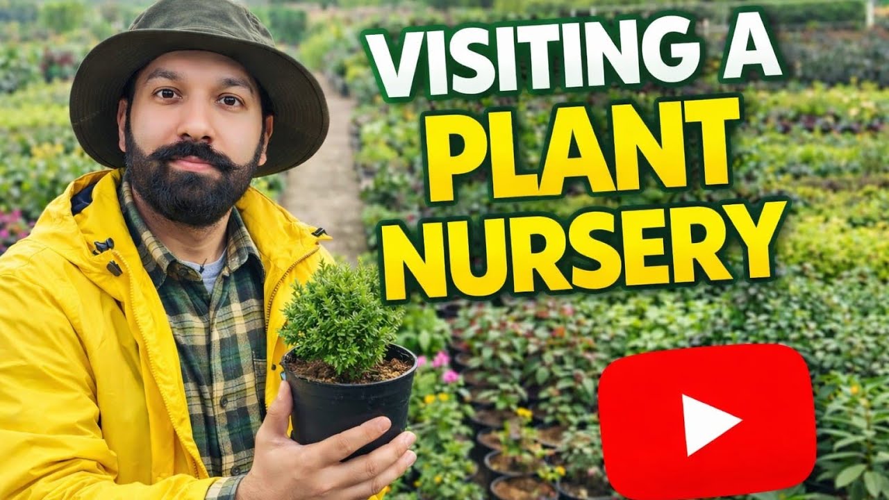 Nursery view Most satisfying veido|| Kashmir vlog 2.0