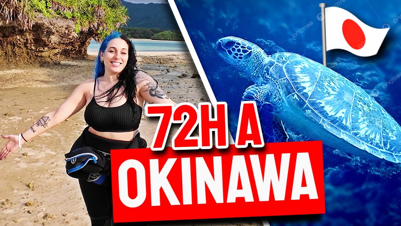 Je PERDS ma VALISE au JAPON mais JE NAGE avec des TORTUES ! (ça a mal commencé...)