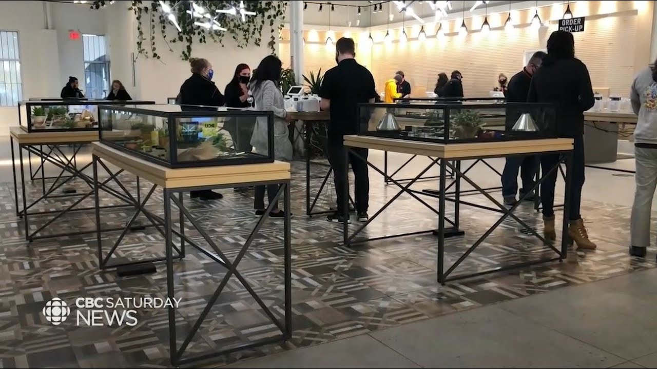 CBC Toronto: Cannabis industry in Ontario thriving 2 years after legalization