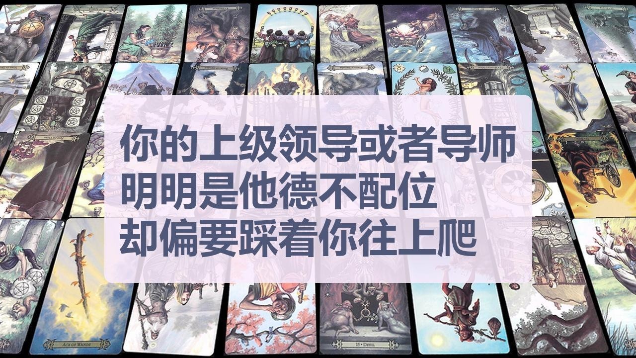 Tarot✨你的上级领导或者导师，明明是他德不配位却偏要踩着你往上爬