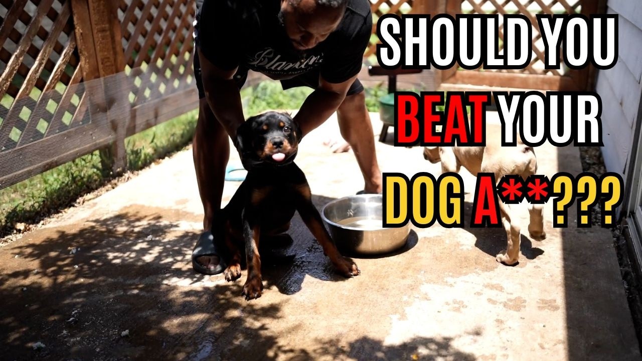 Should You Beat Your Dog? The Truth About Dog Discipline & Correcting Bad Behavior