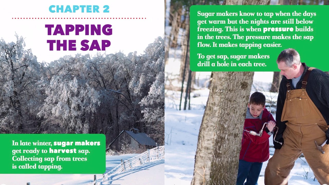 How It's Made: Syrup Read Aloud