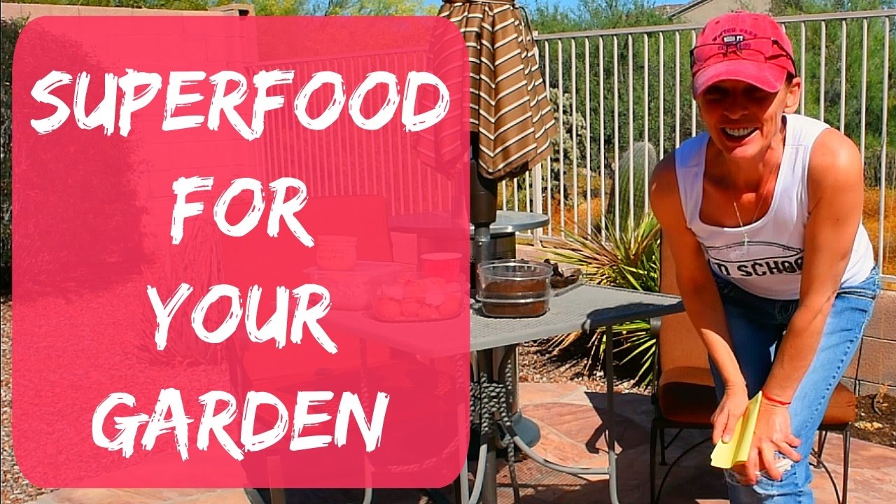 Coffee Grounds, Eggshells, Banana & Avocado Peels For The Garden As Organic Fertilizer