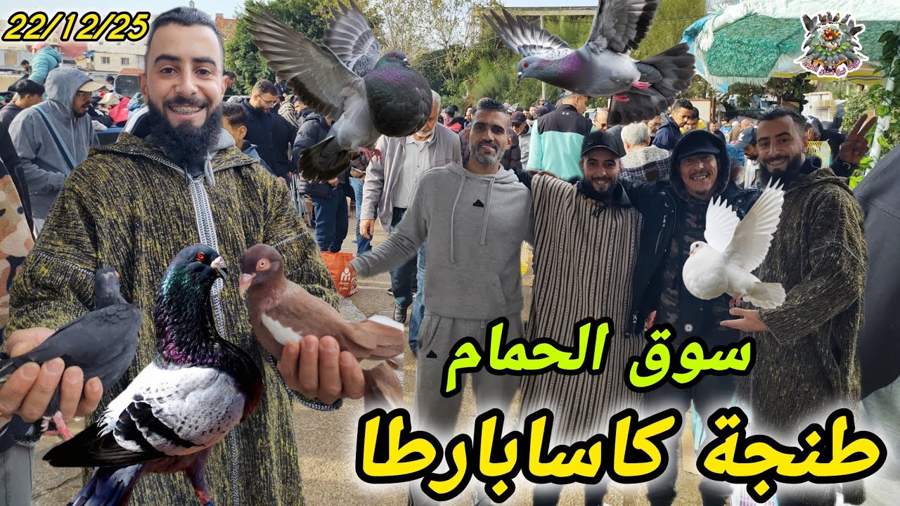 أرخص سوق الحمام في المغرب جولة في كاساباراطا طنجة وصفقات نادرة بأسعار صدمة ليوم الأحد 🕊️💰