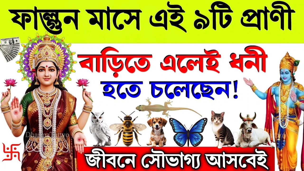 ফাল্গুন মাসে এই ৯টি প্রাণী বাড়িতে এলেই ধনী হতে চলেছেন /dharmatattyo 