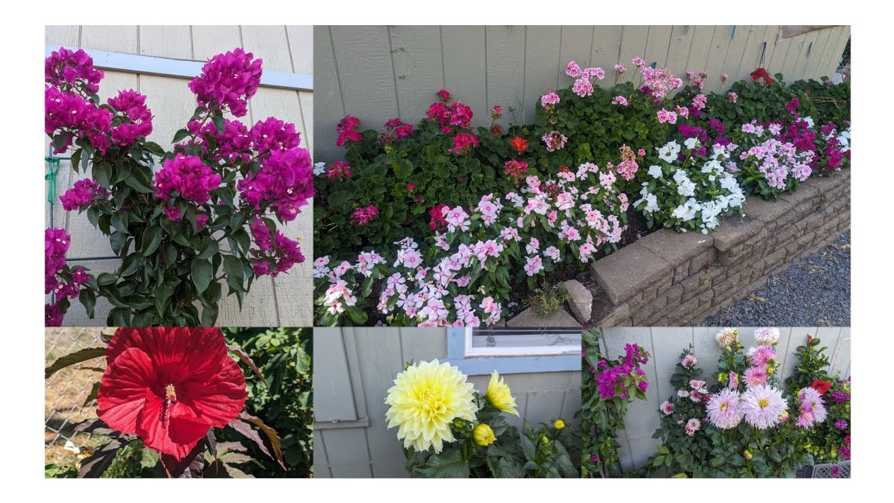 cómo mantener un jardín lleno de flores?