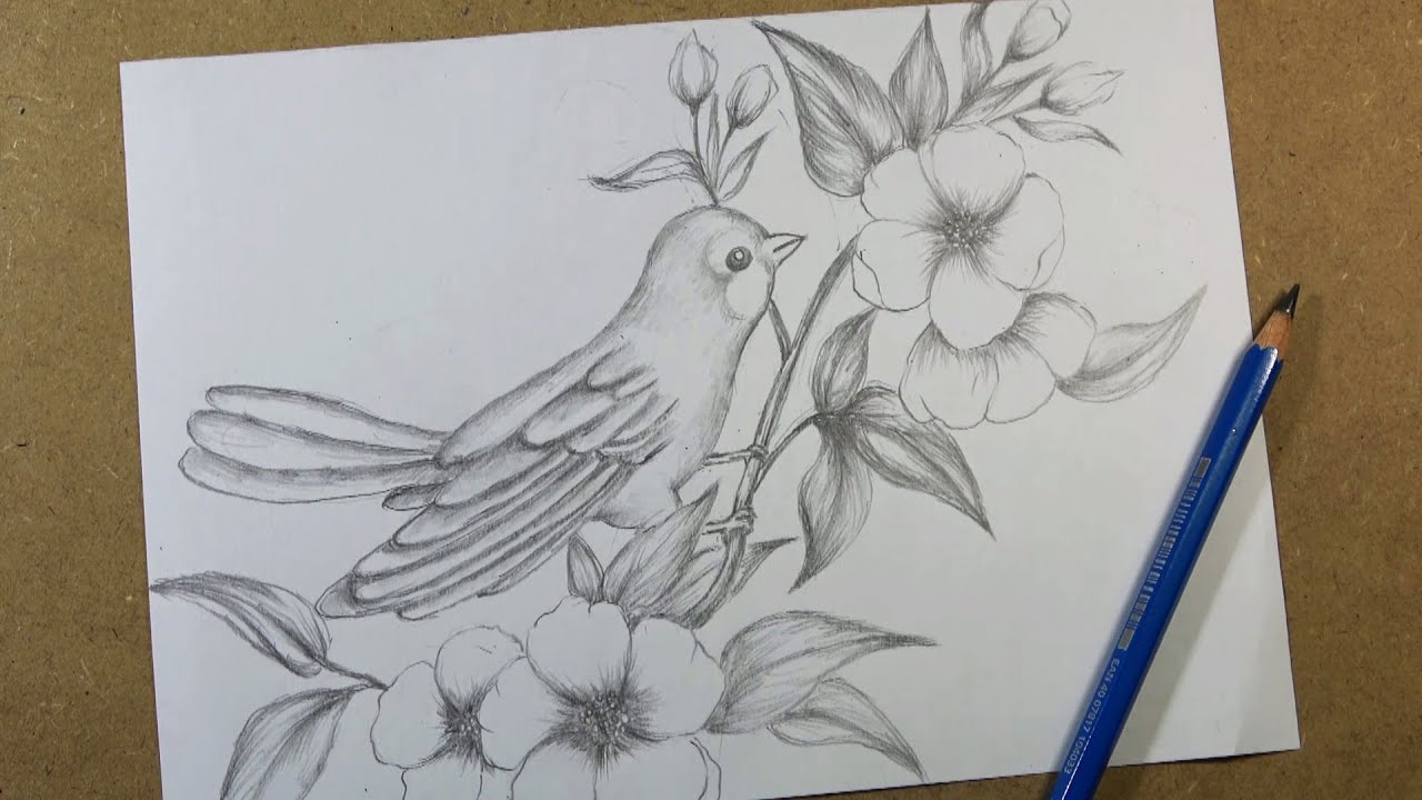 How to draw Bird and Flowers step by step | Hihi Pencil