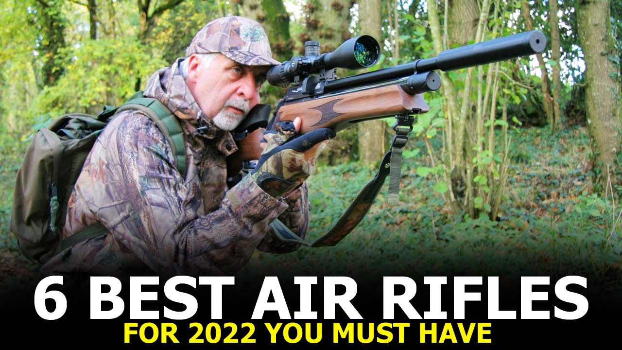 6 Best Air Arms Air Rifle - Best Air Rifle for 2022