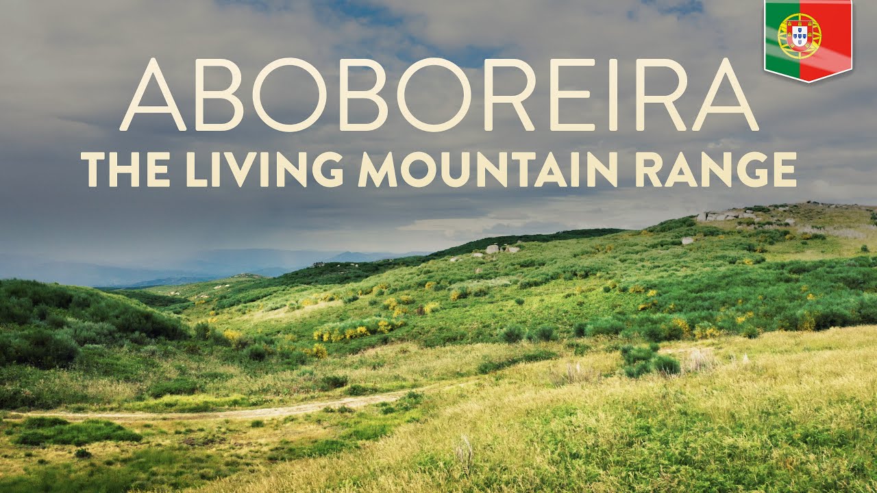 Aboboreira | The Living Mountain Range - Nature Documentary: Portugal