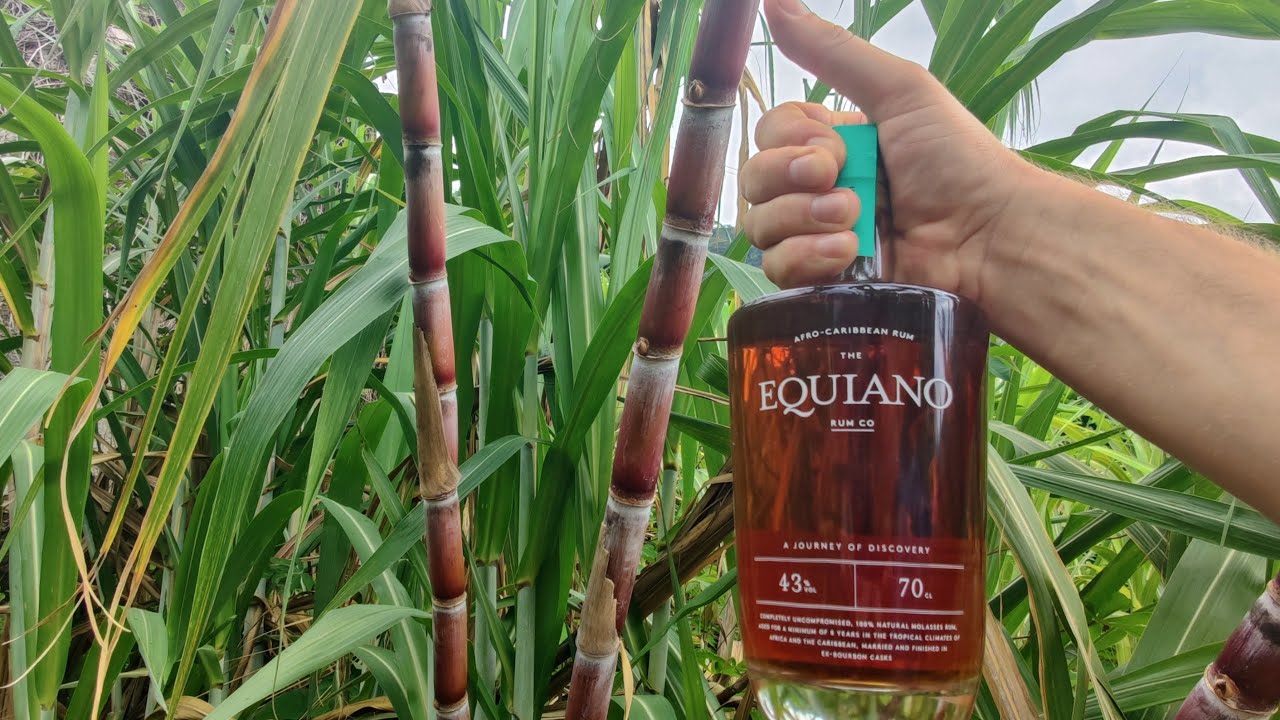 Афро-Карибский ром Equiano #rumreviews #блогуральского #barbados #mauritius #seychelles