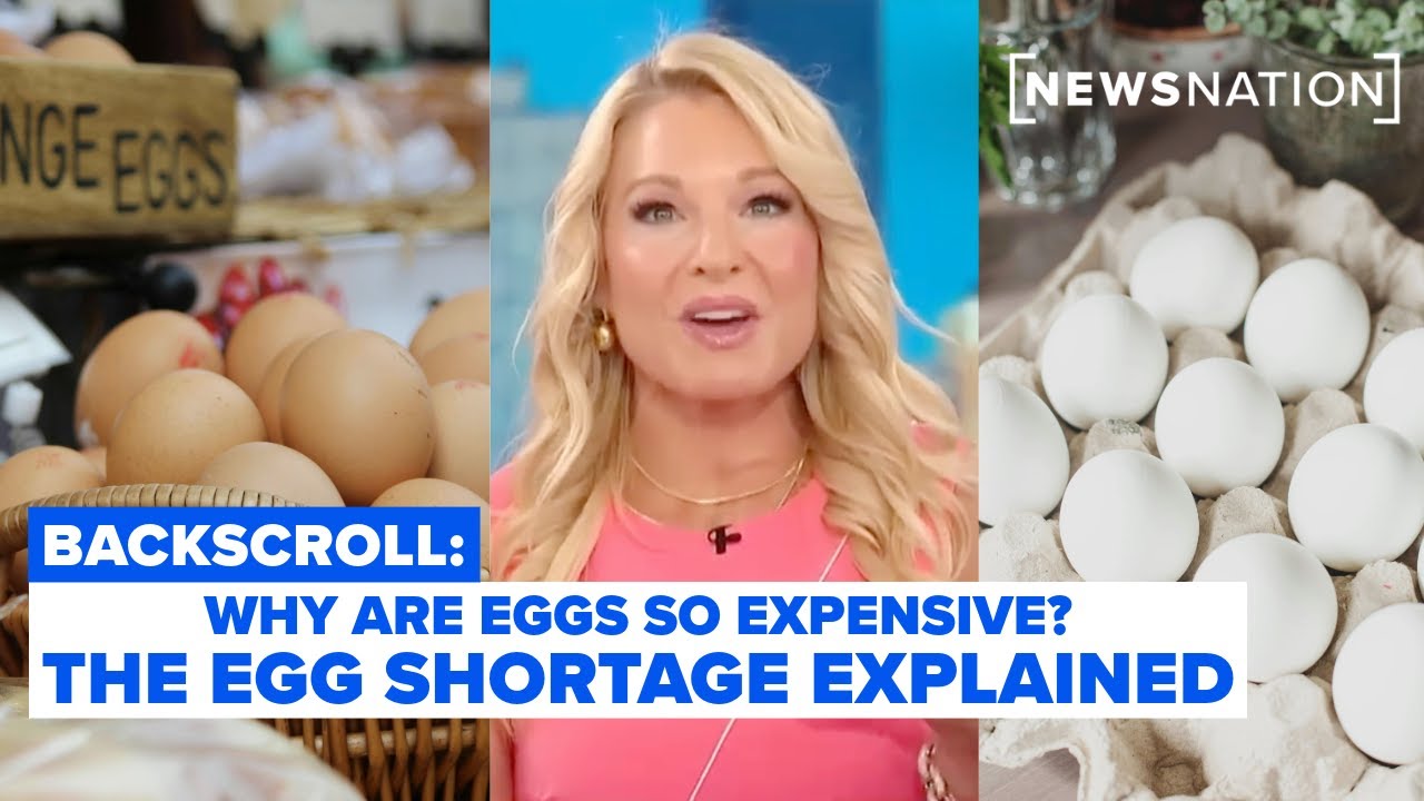 Why are eggs so expensive? The egg shortage explained | Backscroll