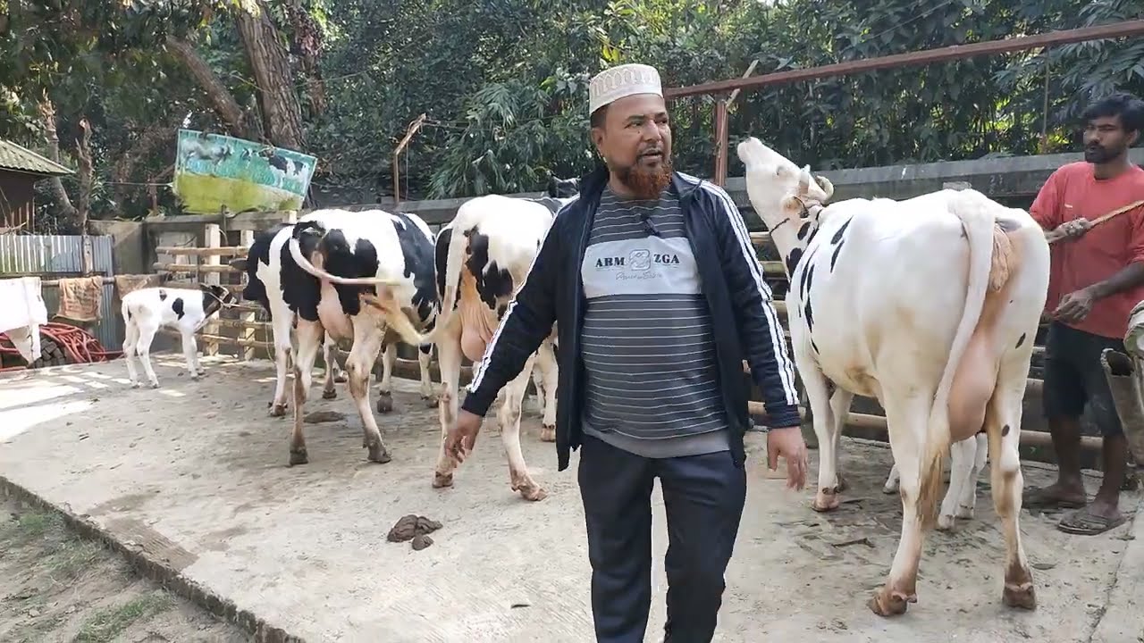 মেসার্স মক্কা আল-আরাফাত ডেইরী ফার্ম থেকে আজকের আপডেট বিস্তারিত জানতে দেখুন 