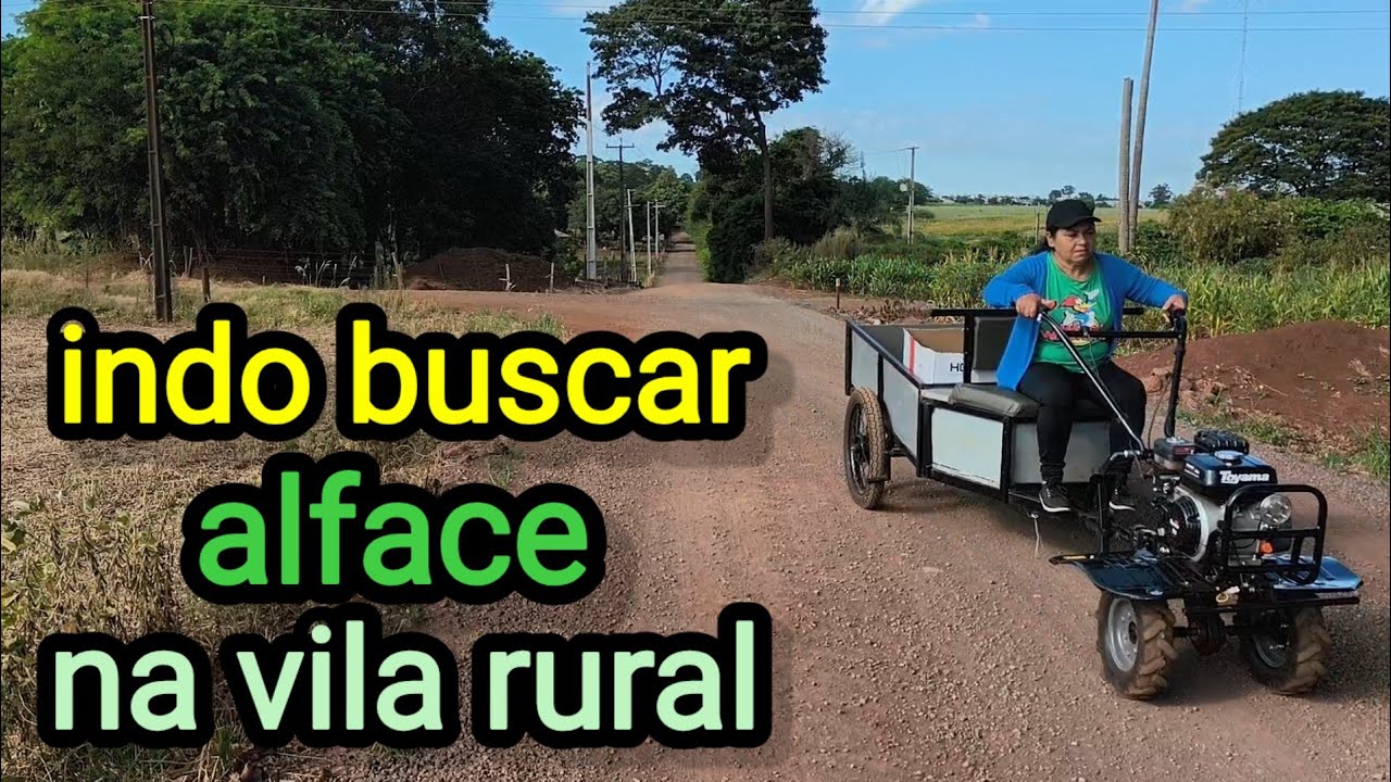 ACABOU? fui buscar ALFACE na vila RURAL, e olha no que  DEU.