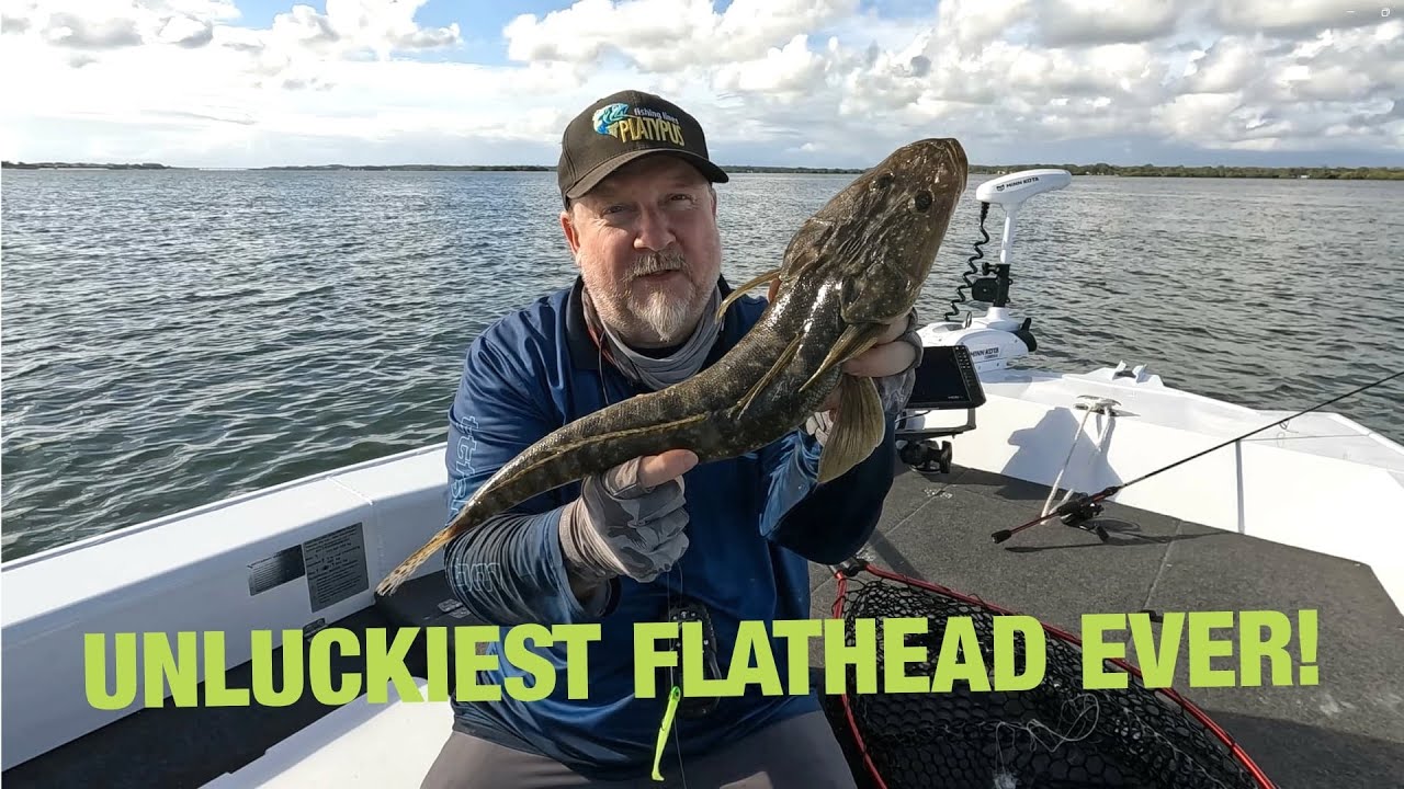 Unluckiest Flathead Ever! Line Breaks, Fish Landed!