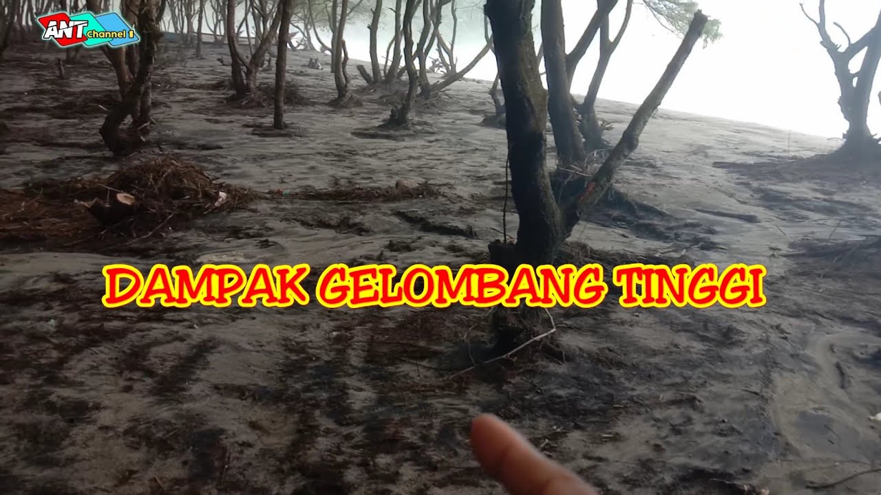 DAMPAK gelombang tinggi laut selatan pasca meluap bikin abrasi