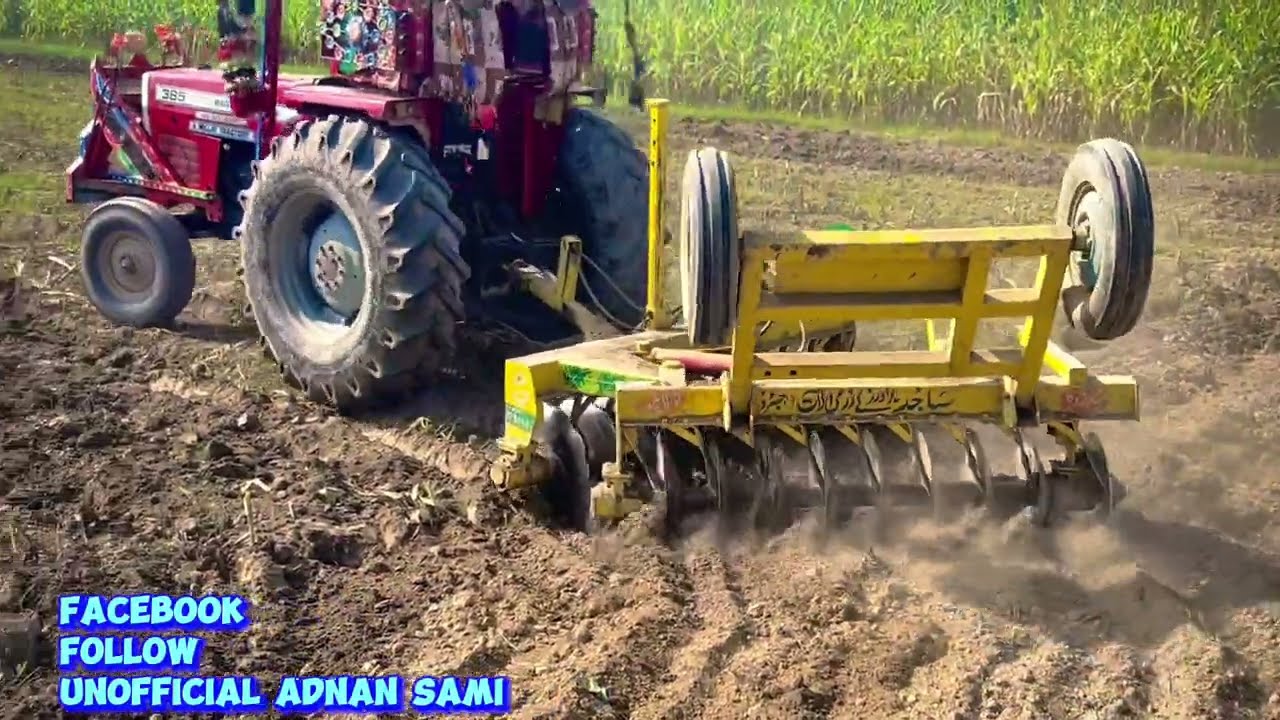 Mf 385 performance | Disk Performance | How to Drive Tractor on disk ? #tractor #farming