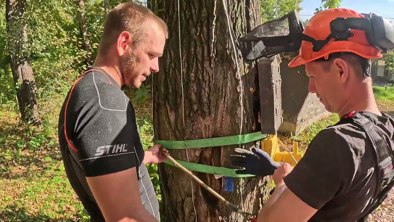 Первые шаги Арборенка👶🧗Кажется что тут такого? 🤔❓Ровно до того момента пока сам не попробуешь😮‍💨🙂