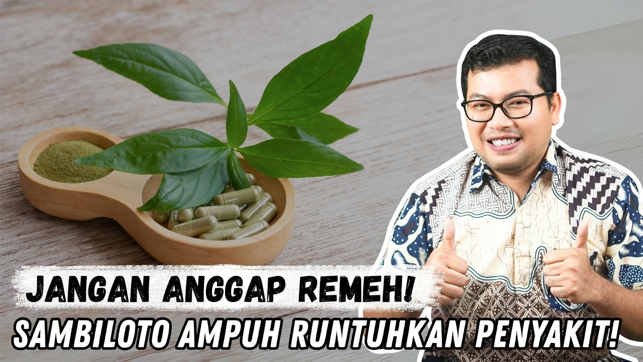 KEKUATAN HERBAL, Manfaat DAHSYAT SAMBILOTO untuk Kesehatan - DOKTER SADDAM ISMAIL