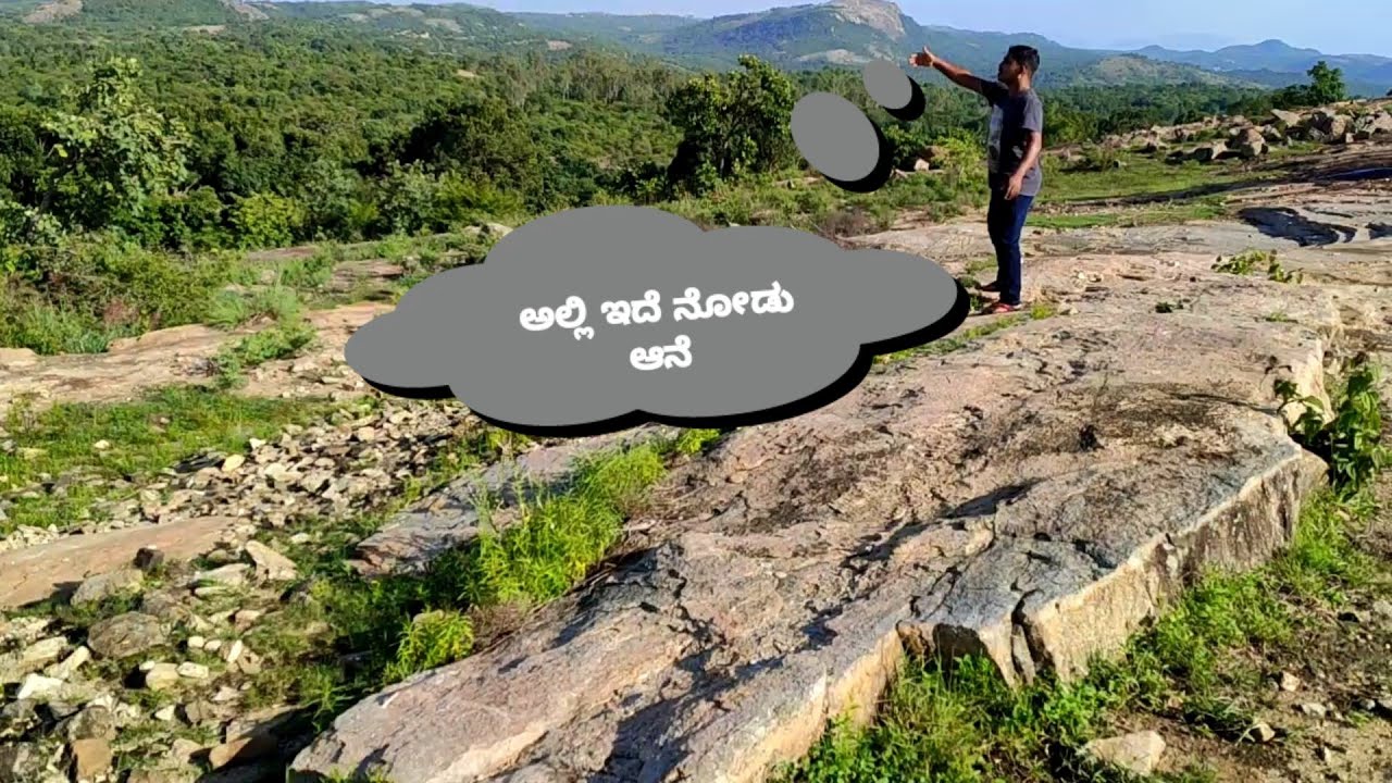 Bannerghatta Forest | ಬನ್ನೇರುಘಟ್ಟ ಅರಣ್ಯ | Elephant | National Forest | Karnataka Forest | jungle.P-1
