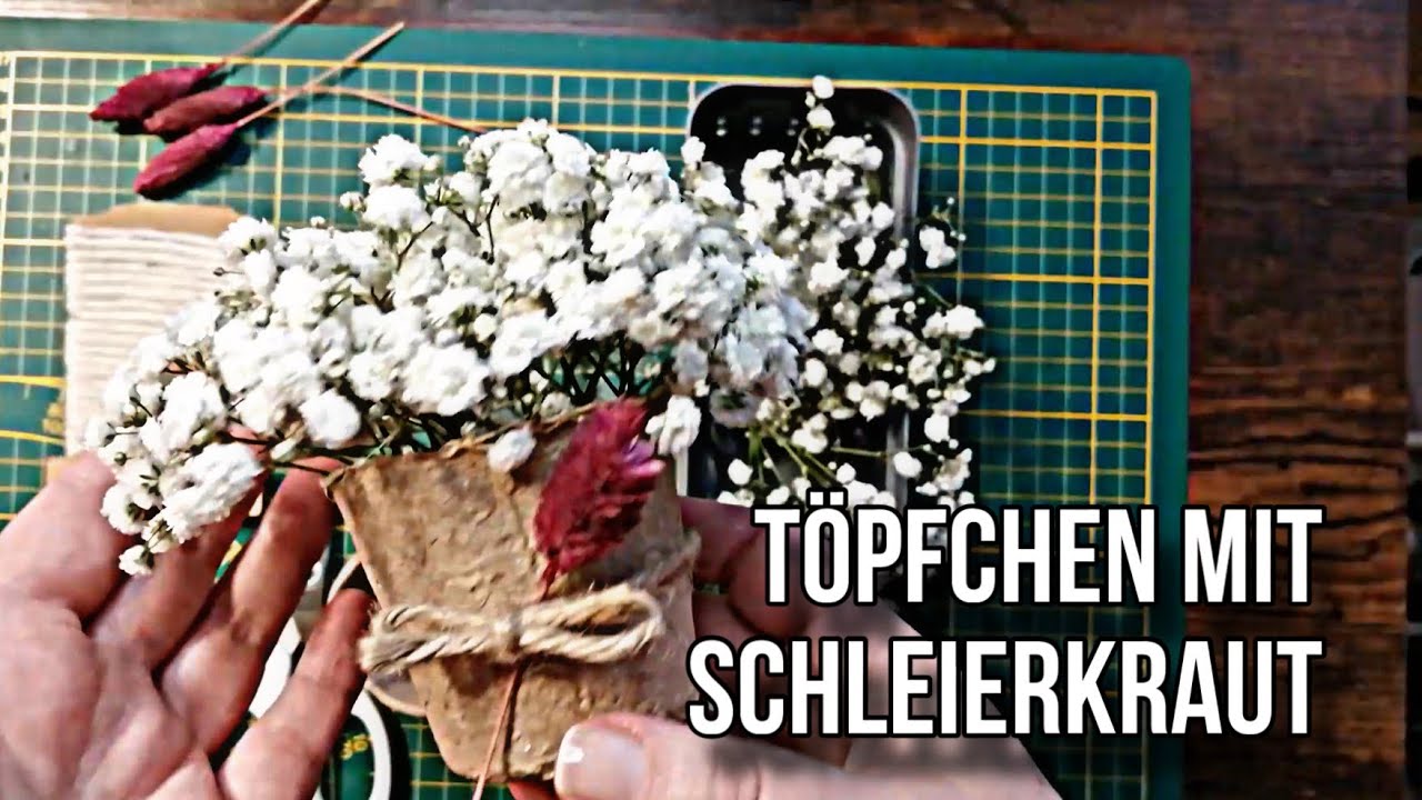 Kreativzeit: DIY T&ouml;pfchen mit Schleierkraut | TV38