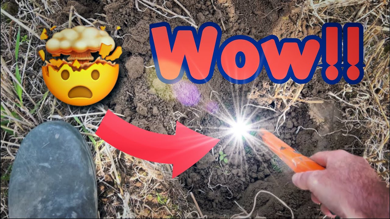 A MASSIVE dig produces AMAZING finds! - 101 holes… what did the XP DEUS II find?!? 🤩