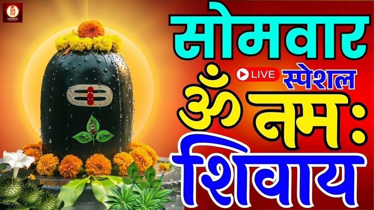 सोमवार भक्ति | ॐ नमः शिवाय मंत्र धुन शिव जी की शांति देने वाली धुन | Om Namah Shivaya Monday special