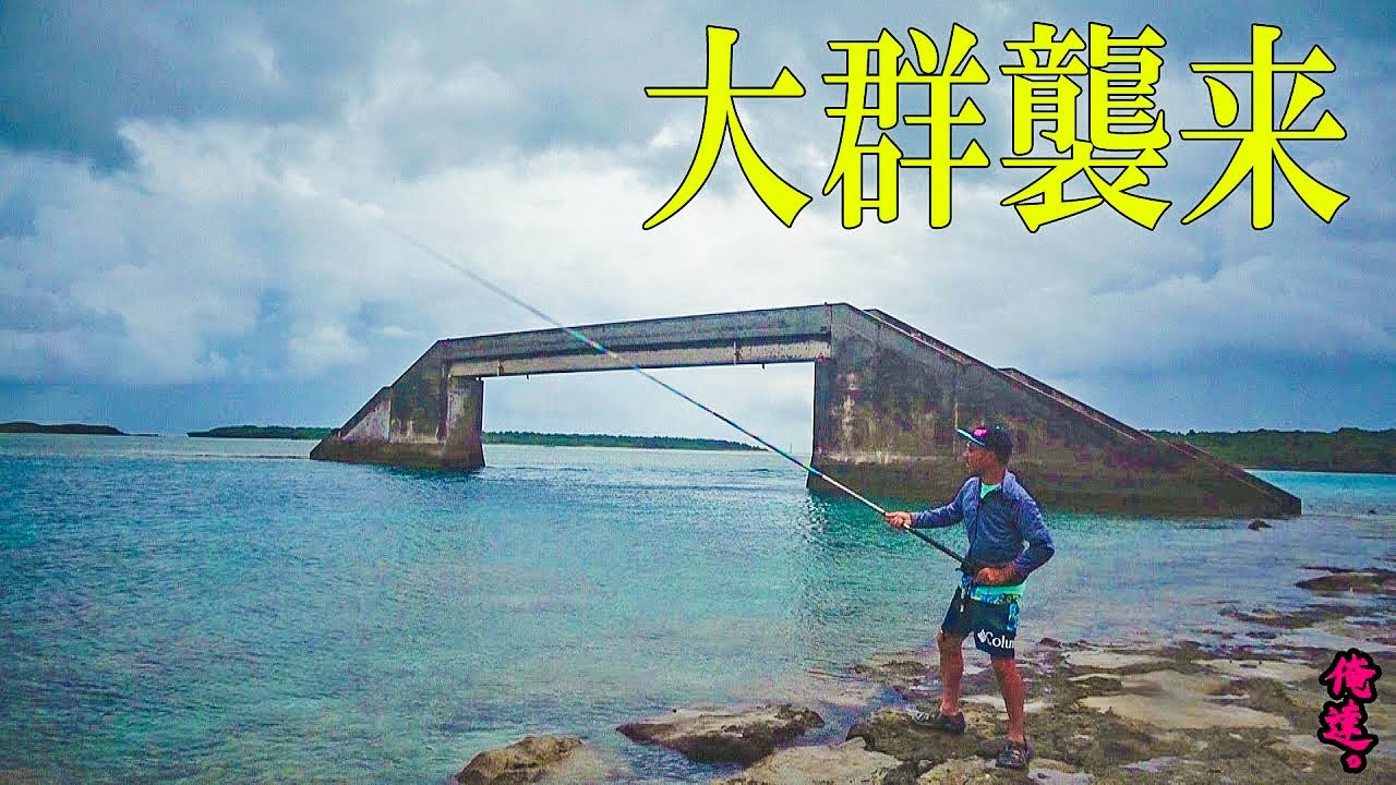 最強のパワースポットで巨大生物の大群が…