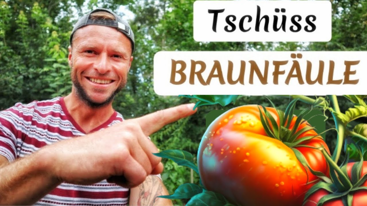 MACH DAS! So hat die Kraut & Braunfäule keine Chance! 🍅